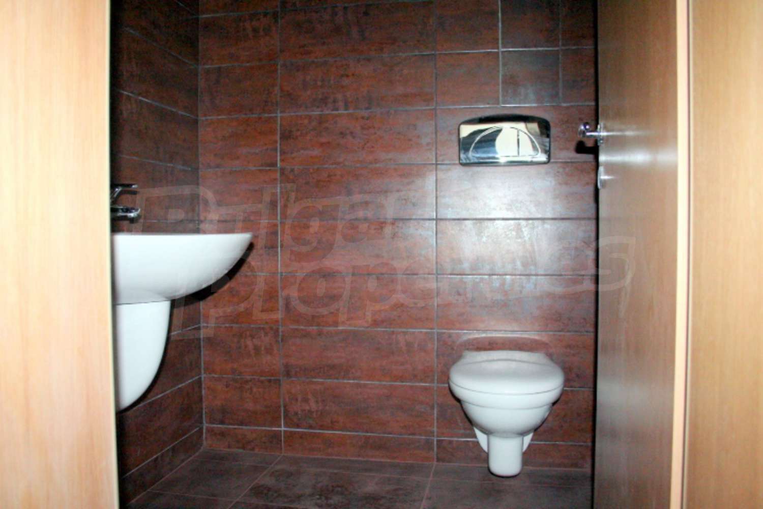 Gallery Picture 19