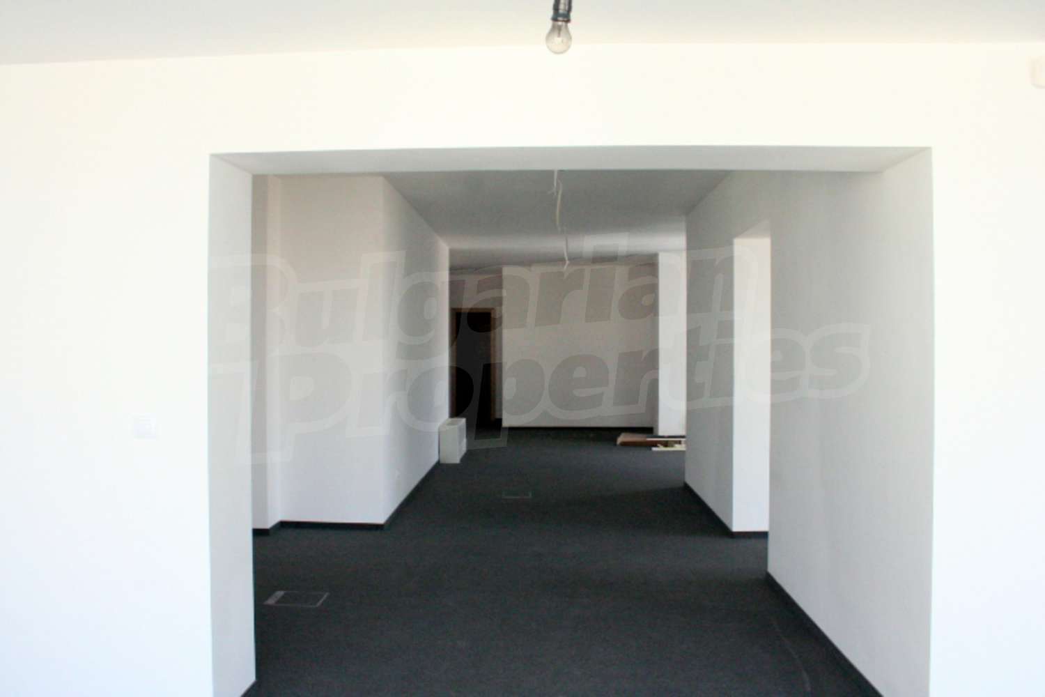 Gallery Picture 7
