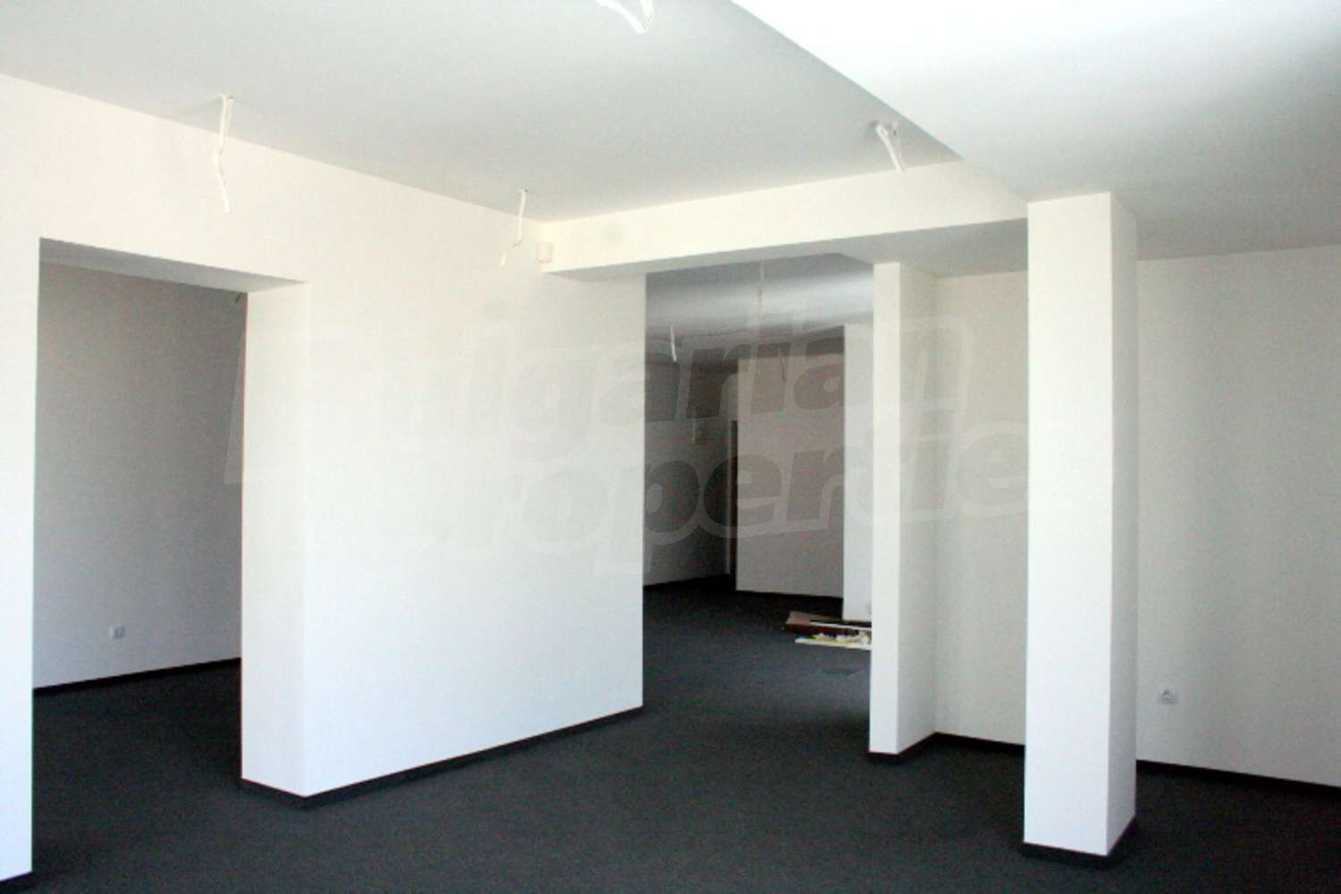 Gallery Picture 8