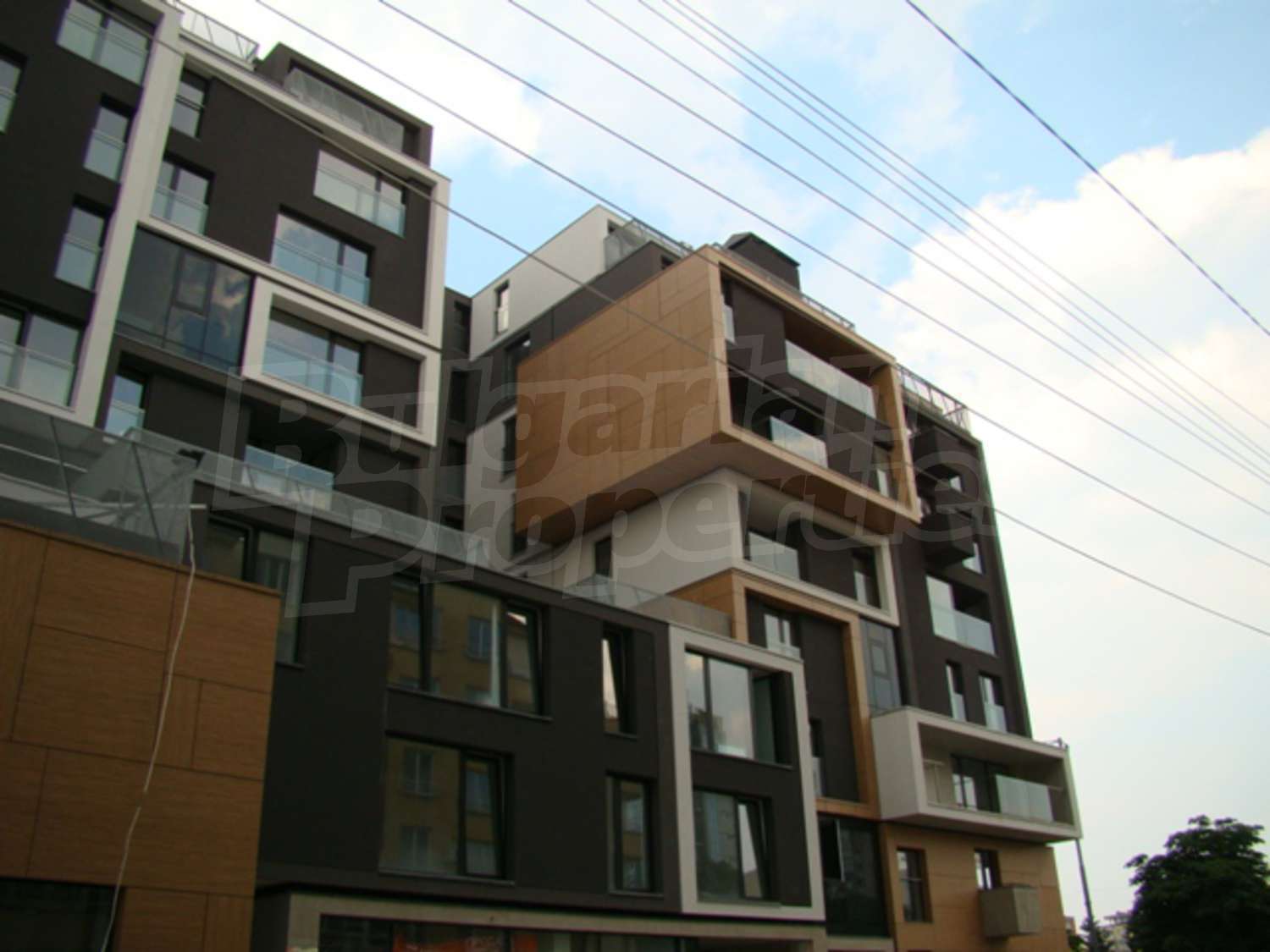 Gallery Picture 10