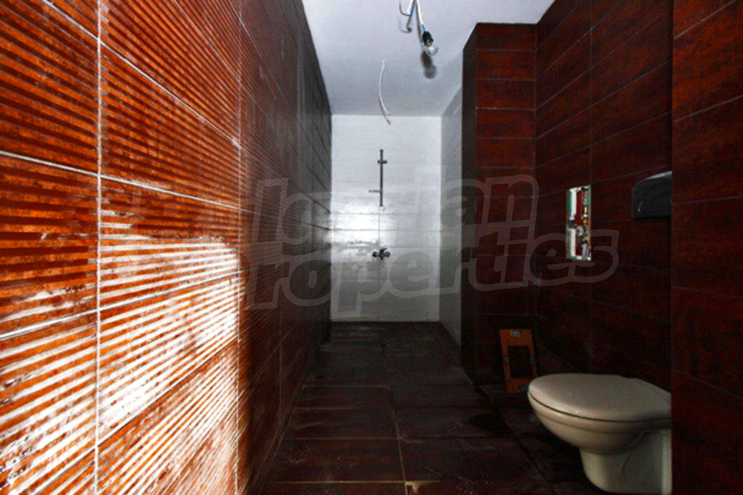 Gallery Picture 11