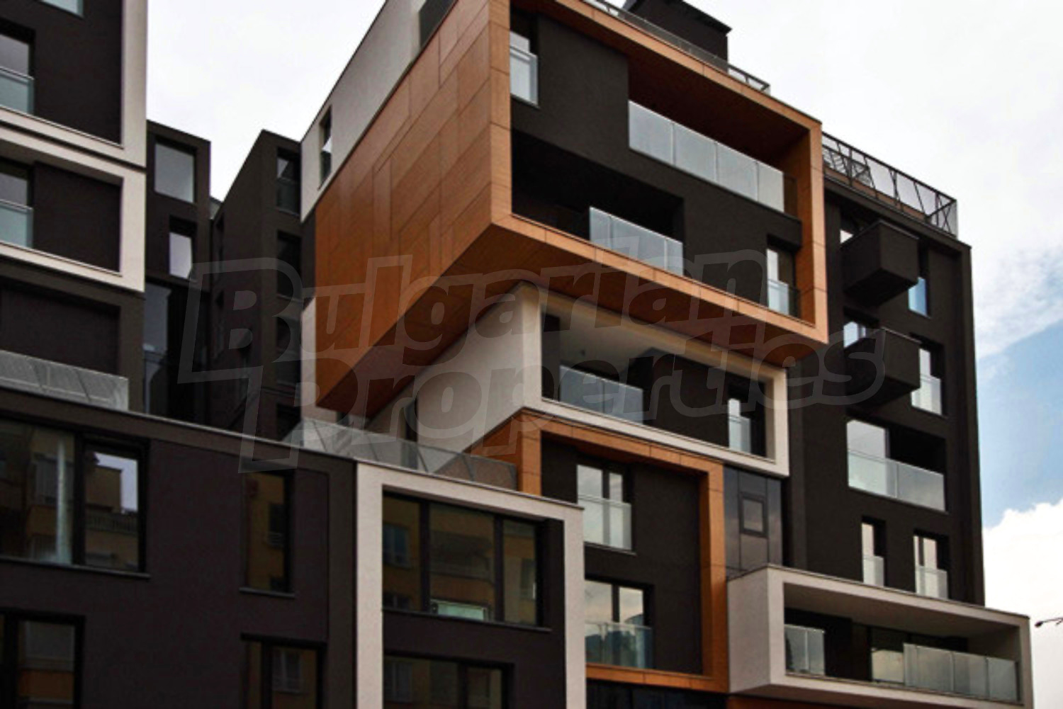 Gallery Picture 14