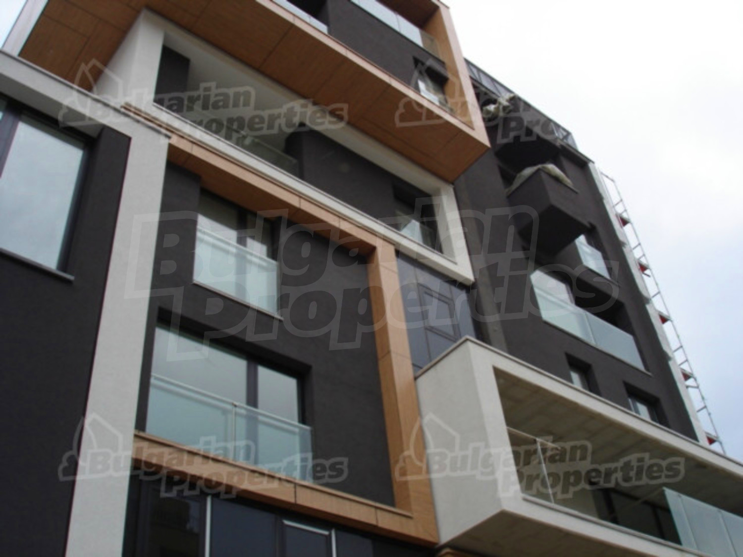Gallery Picture 12