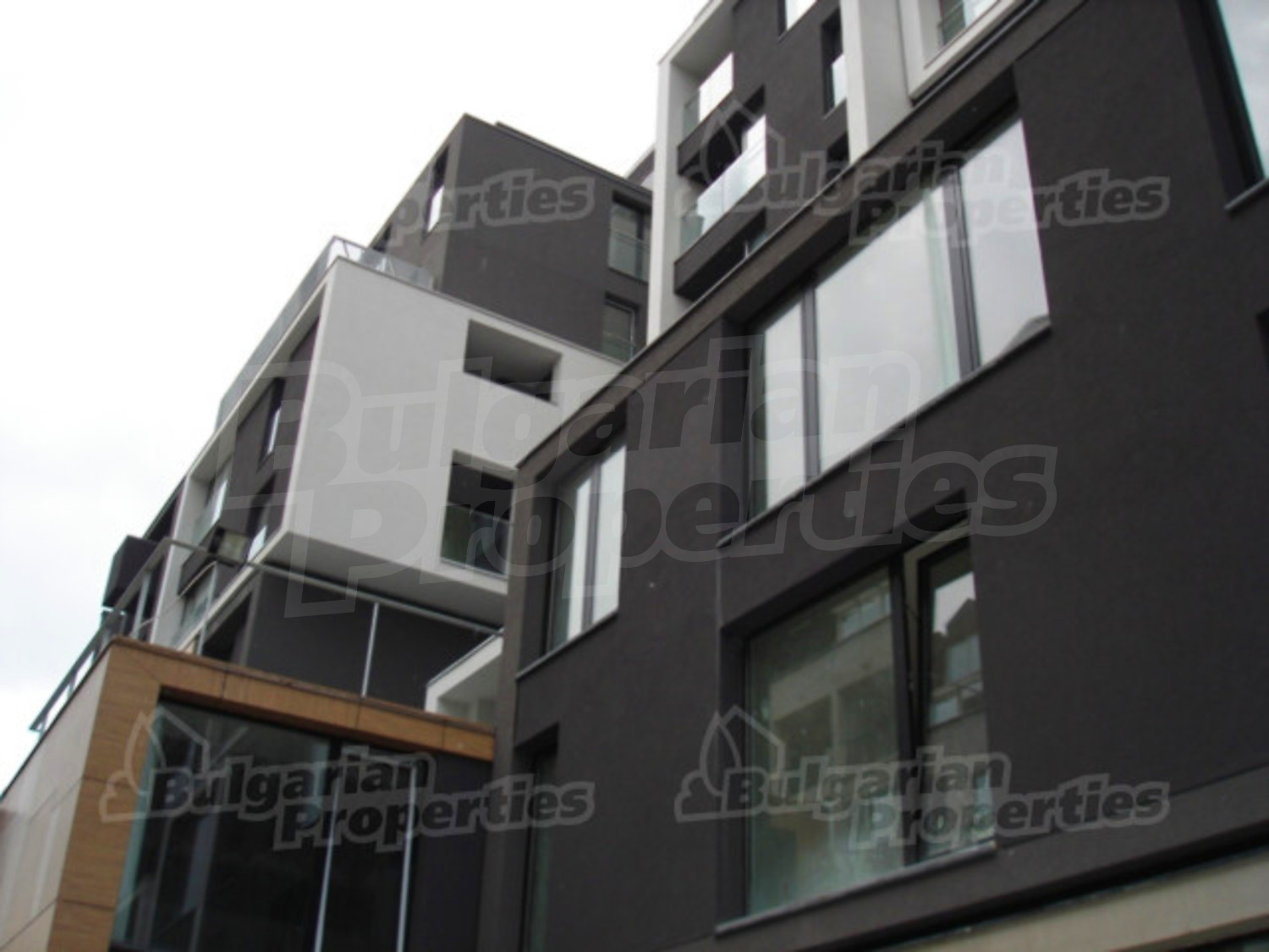 Gallery Picture 13