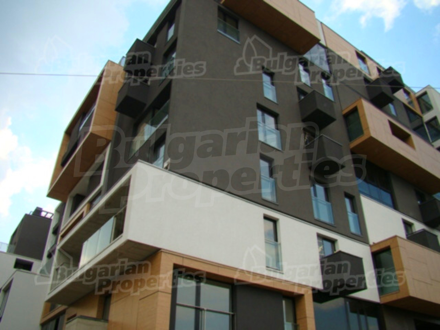 Gallery Picture 4