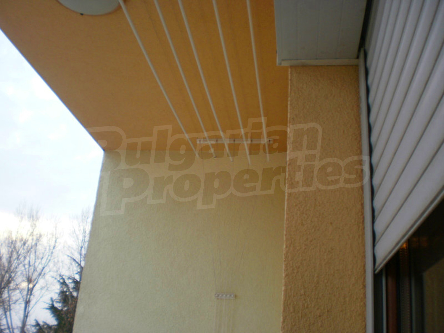 Gallery Picture 14