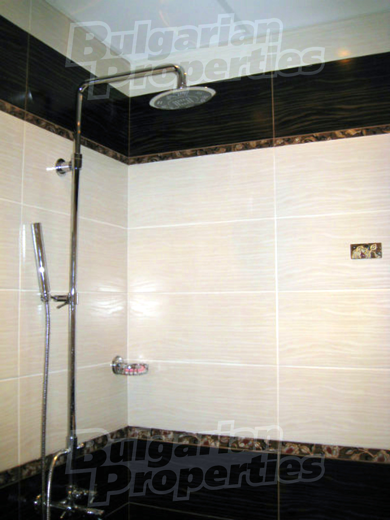 Gallery Picture 16