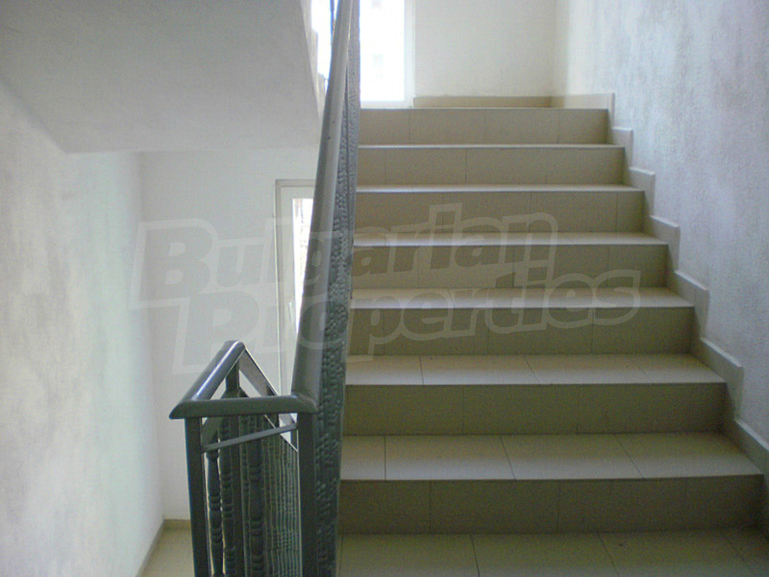 Gallery Picture 17