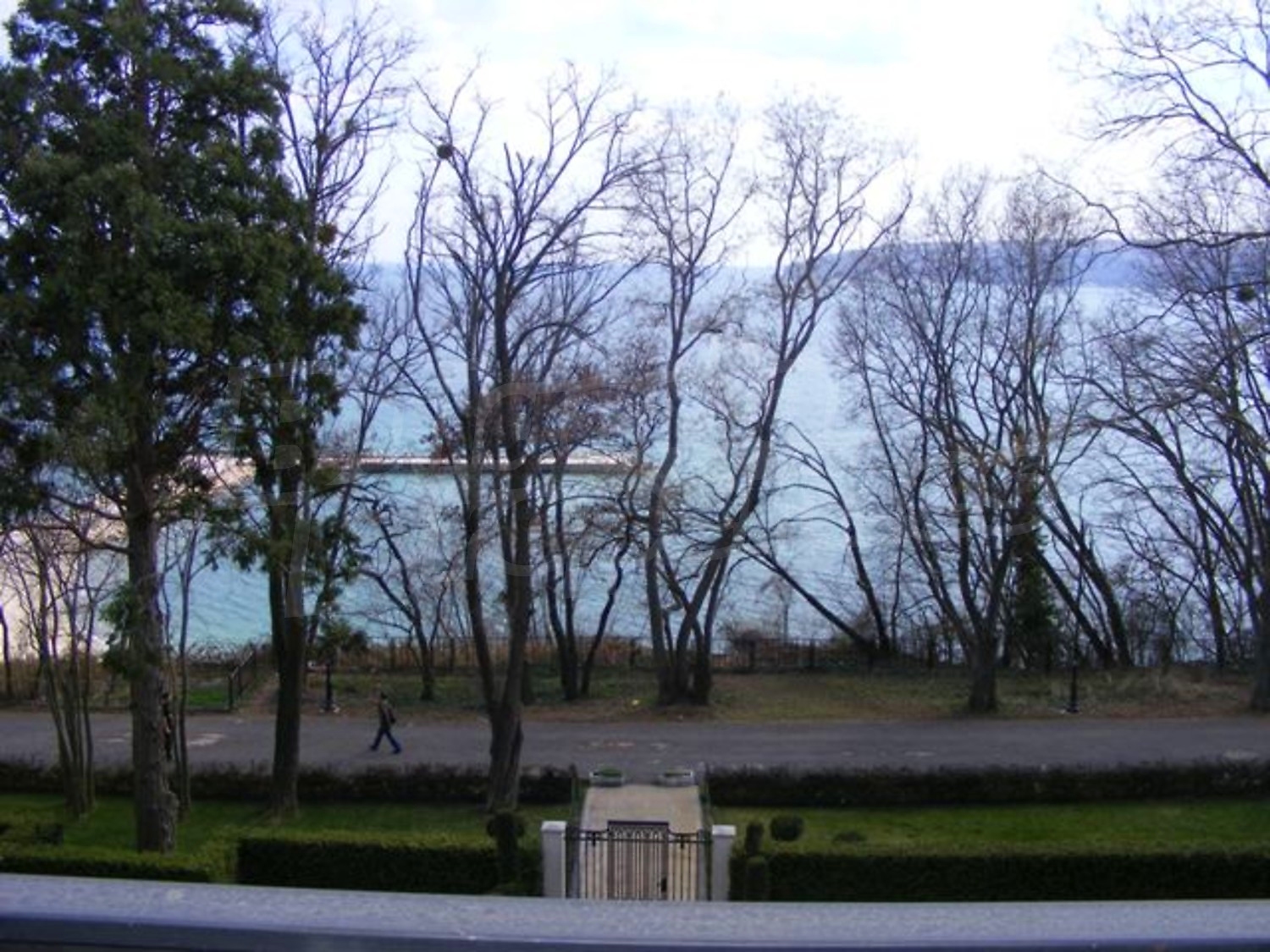 Gallery Picture 26
