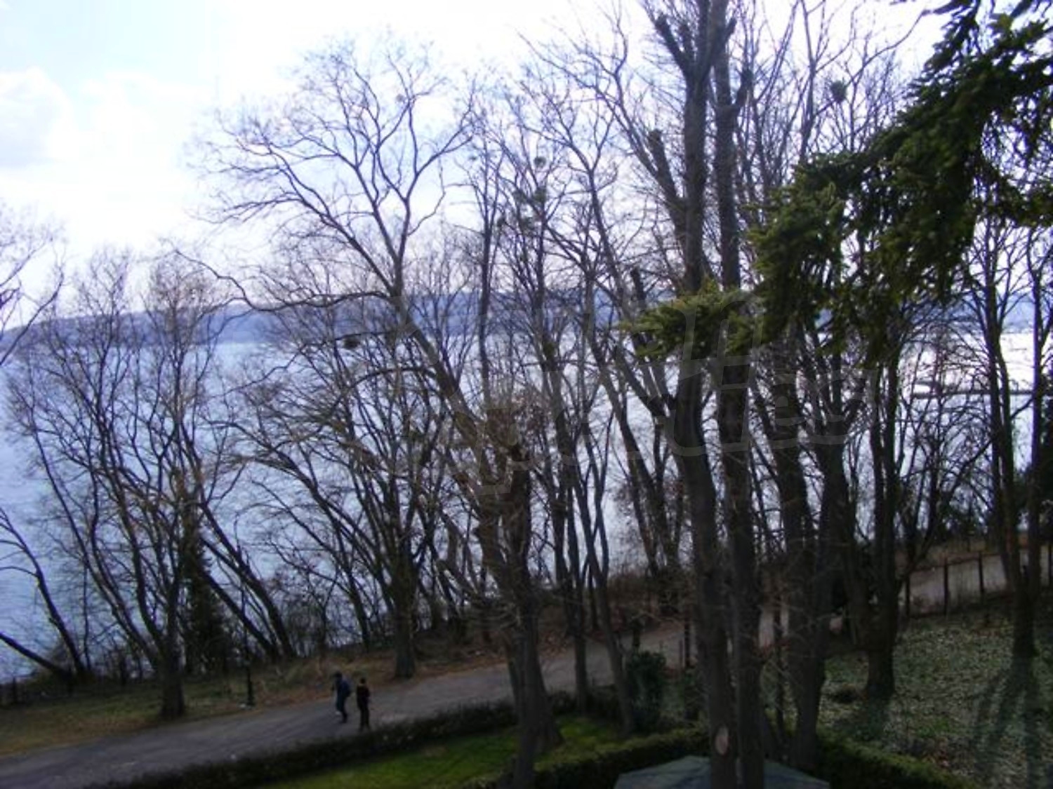 Gallery Picture 28