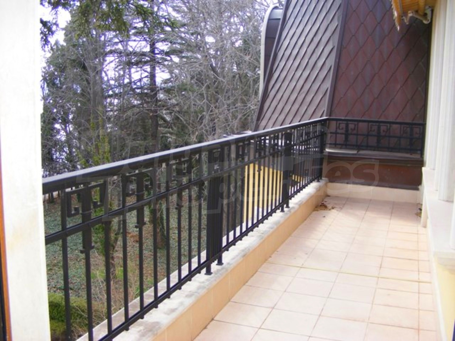 Gallery Picture 29
