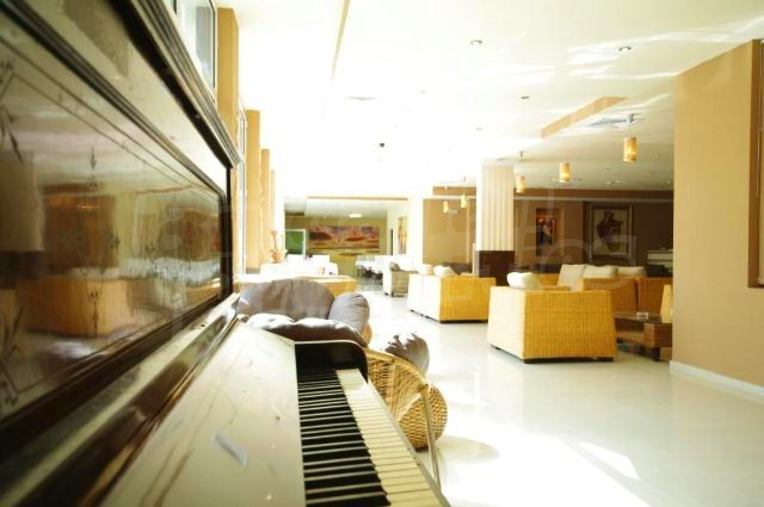 Gallery Picture 12