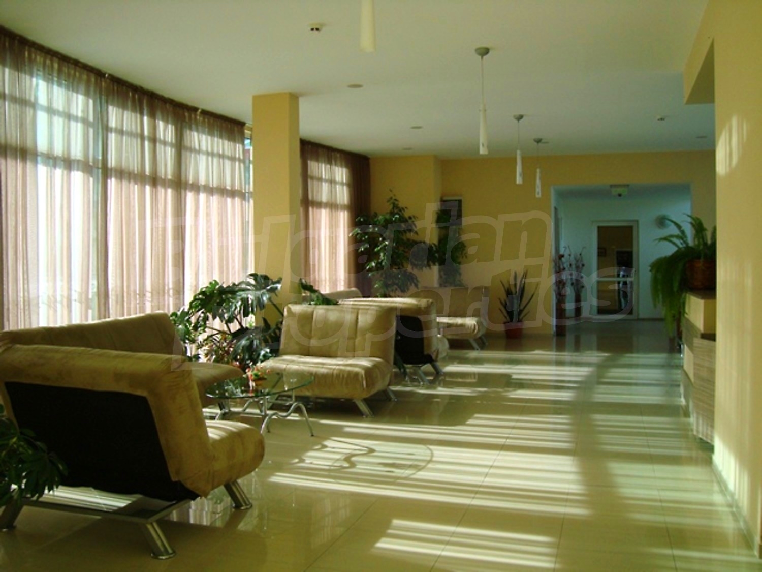 Gallery Picture 8