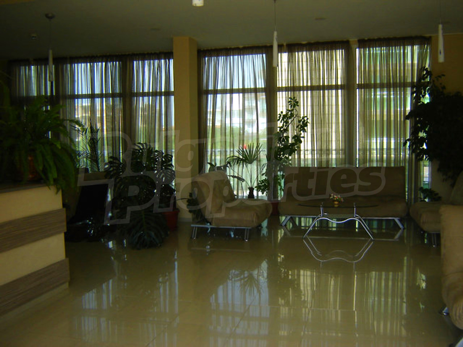 Gallery Picture 26