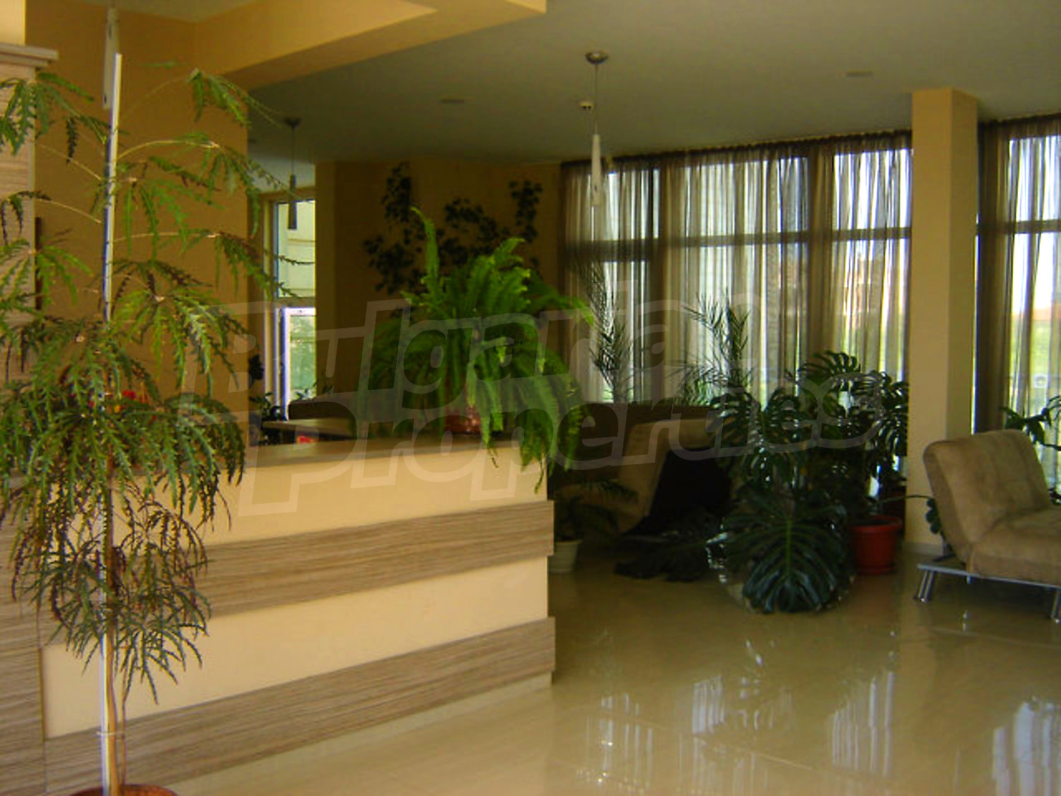 Gallery Picture 27