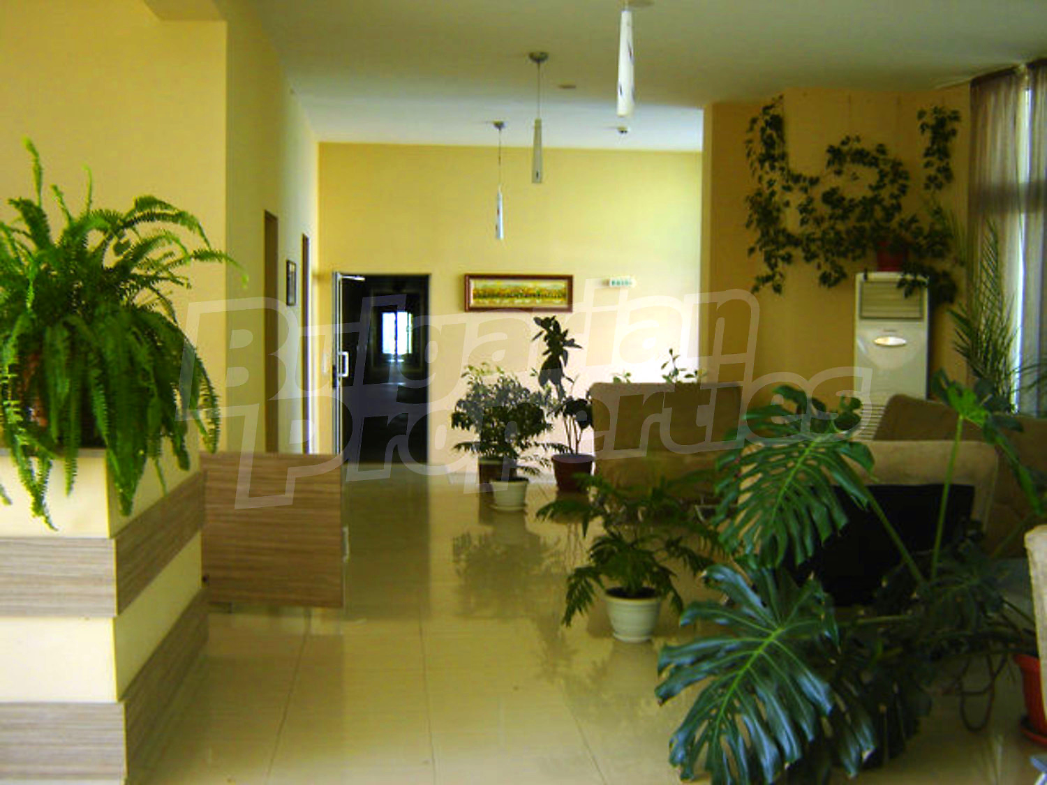 Gallery Picture 28