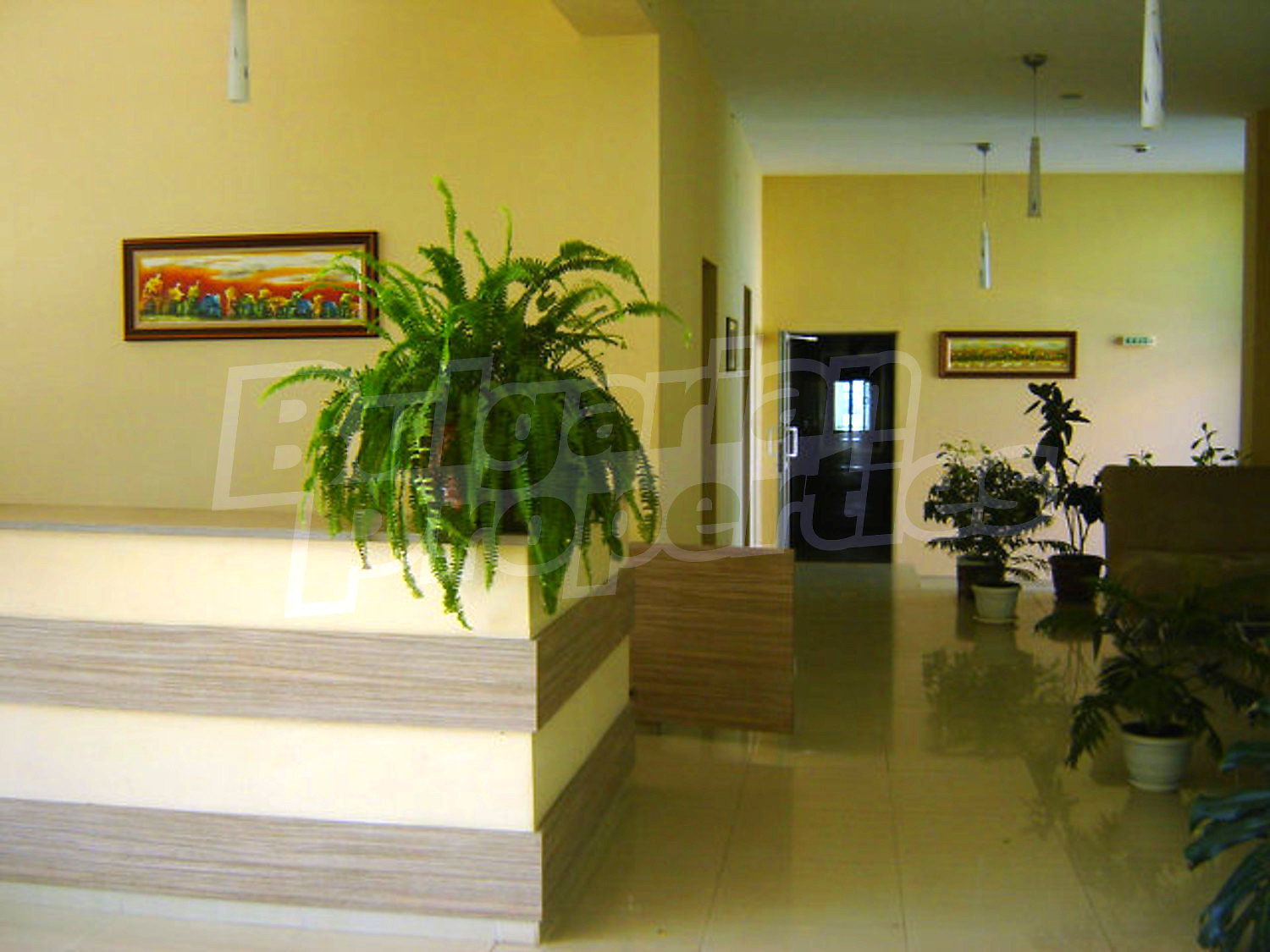 Gallery Picture 29