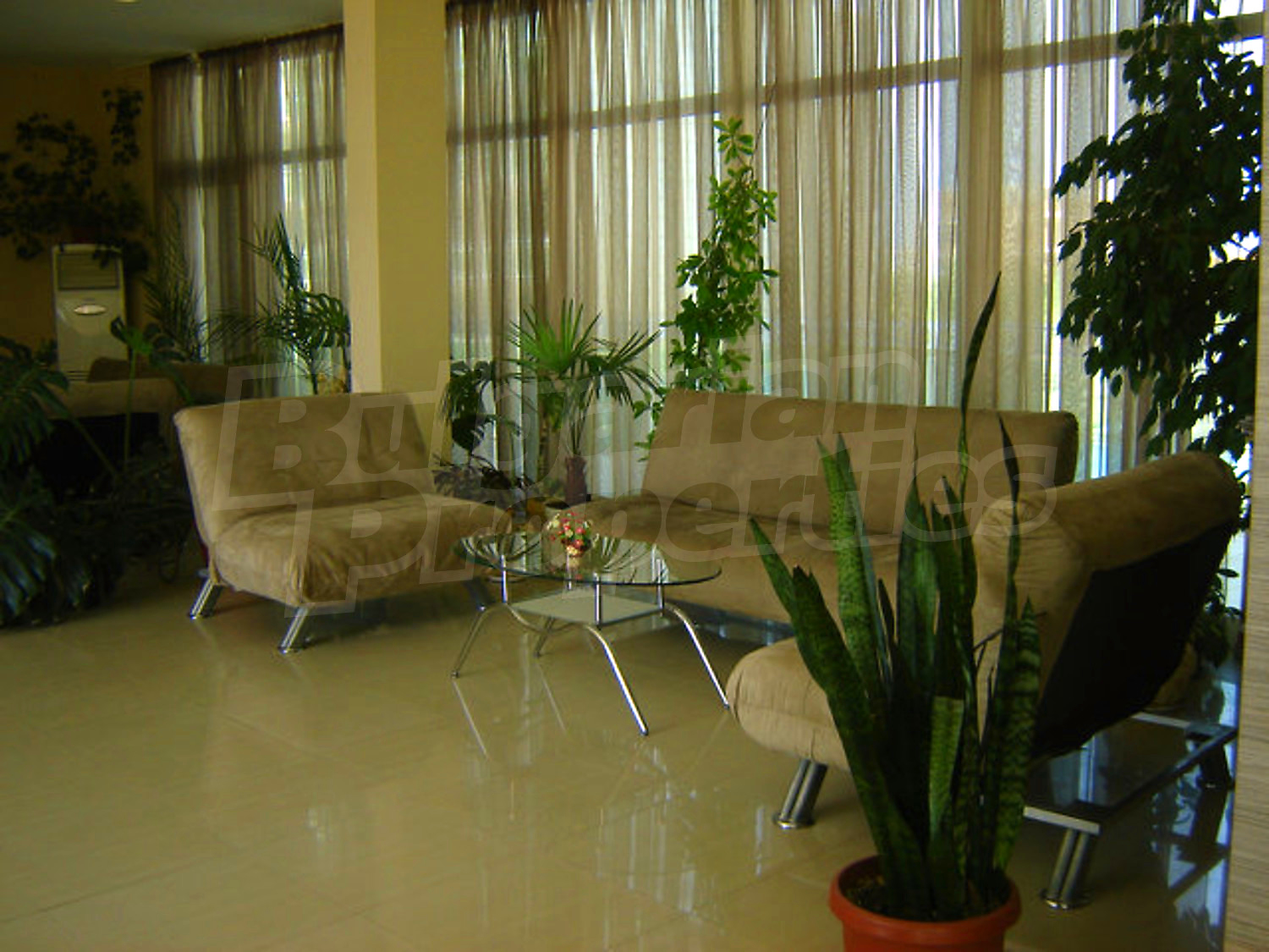 Gallery Picture 34