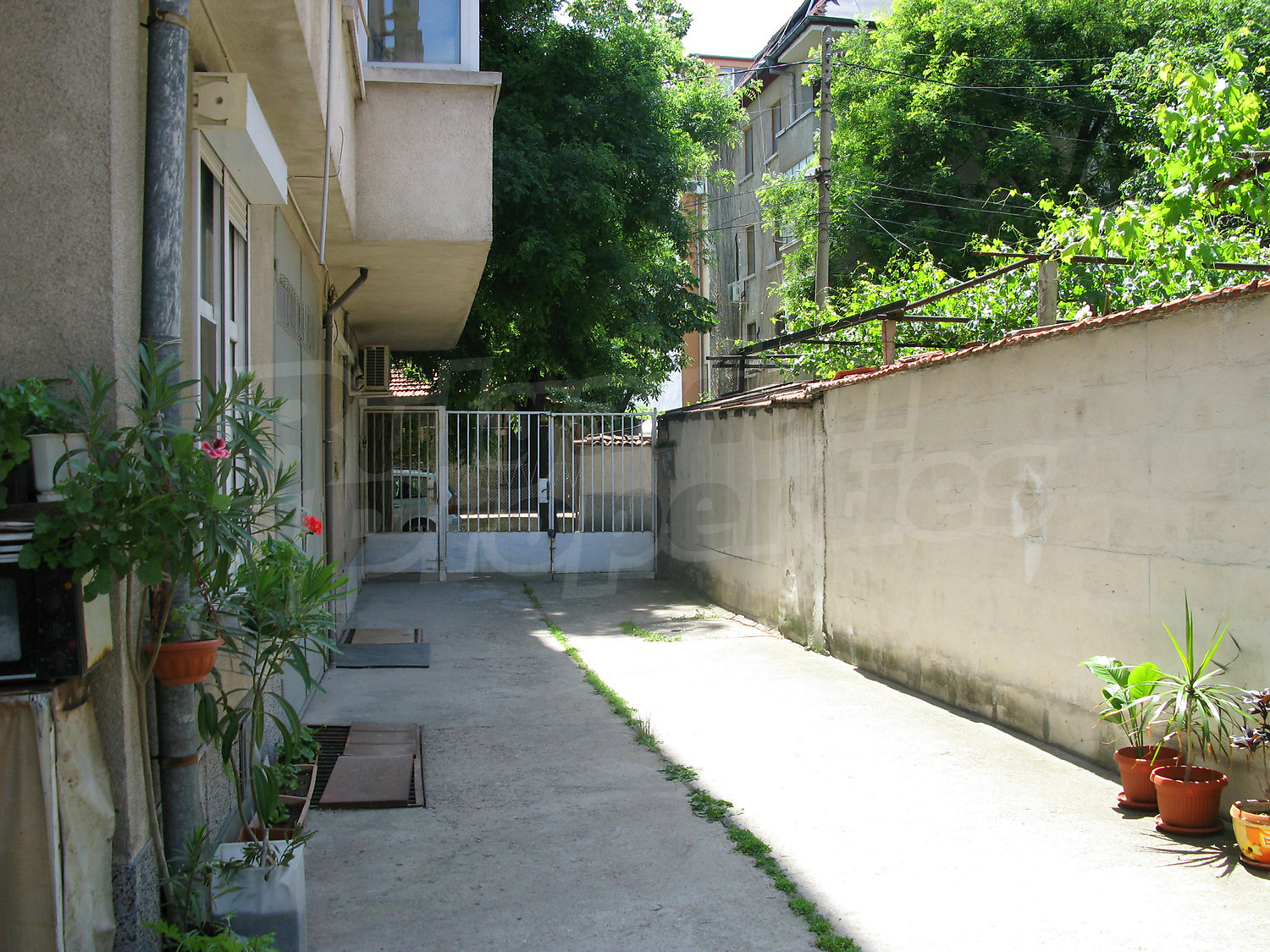 Gallery Picture 13