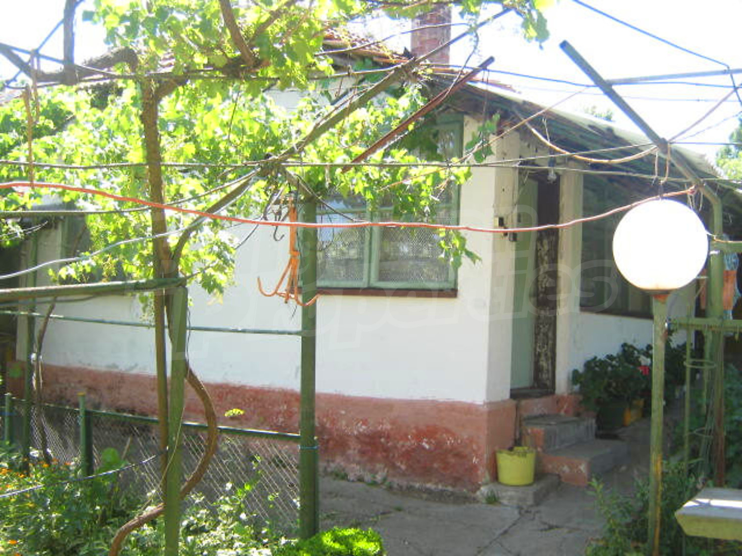 Gallery Picture 13