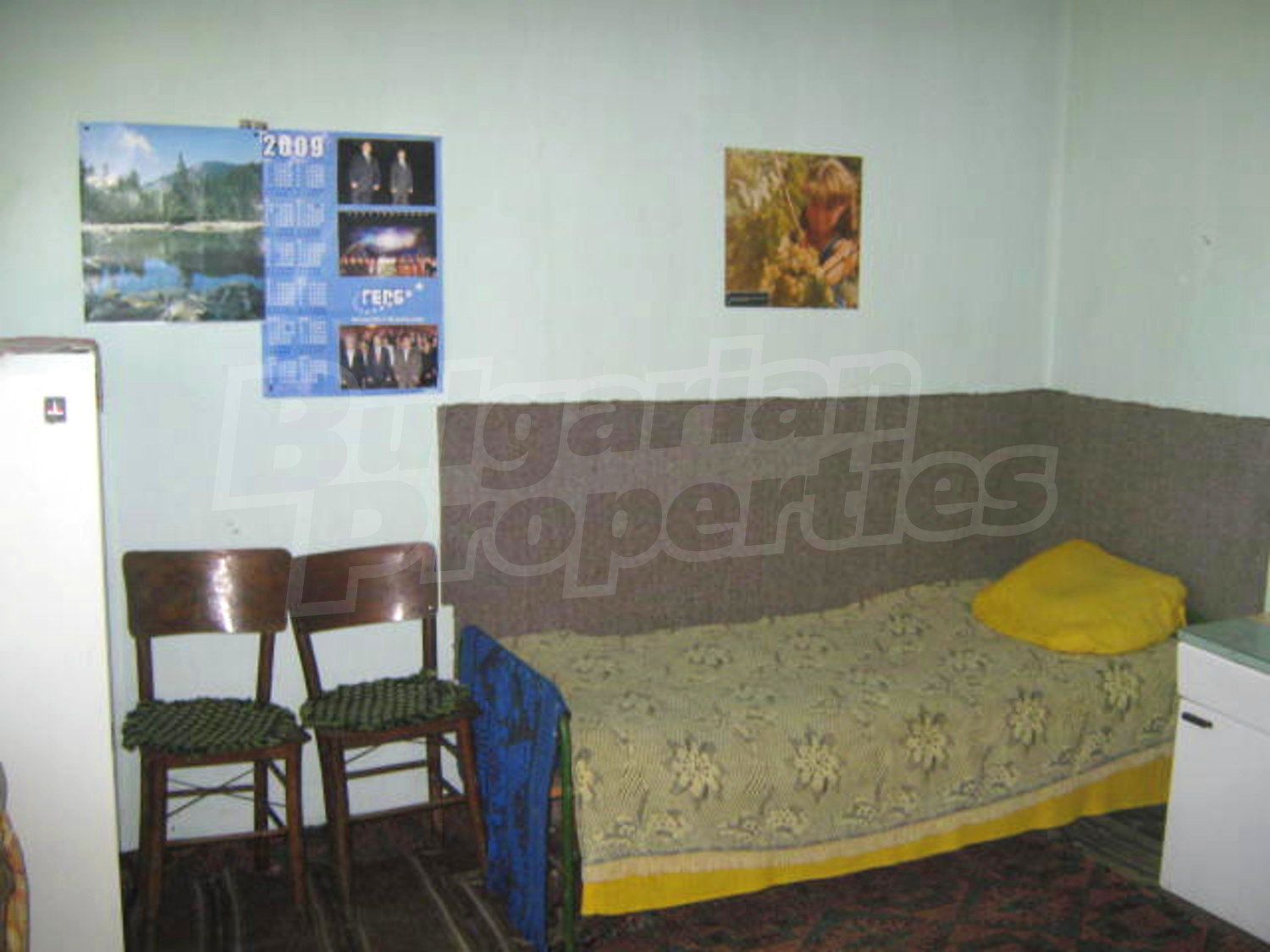 Gallery Picture 16