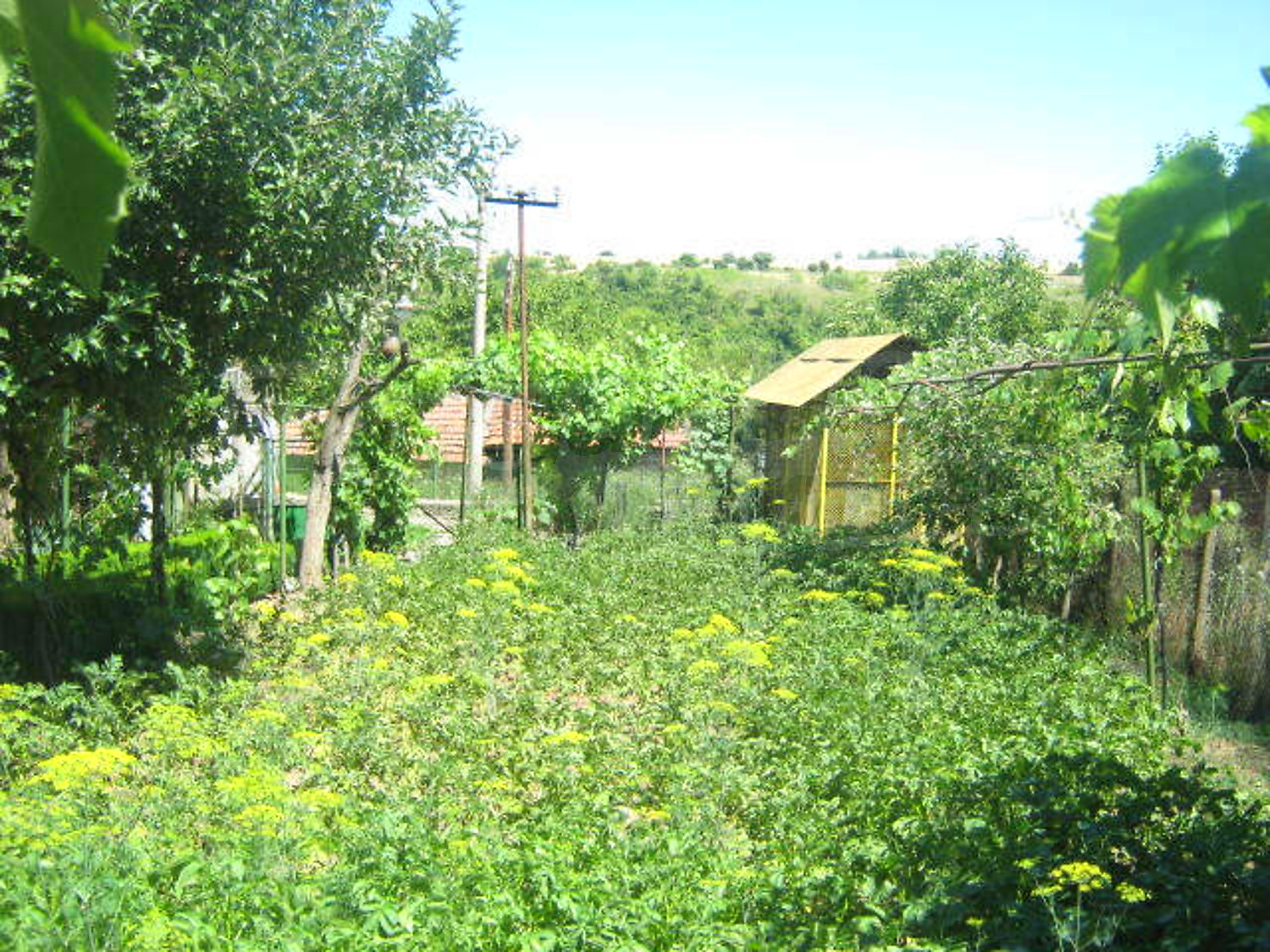 Gallery Picture 18
