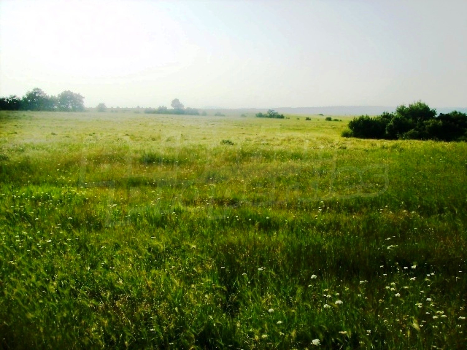 Gallery Picture 10