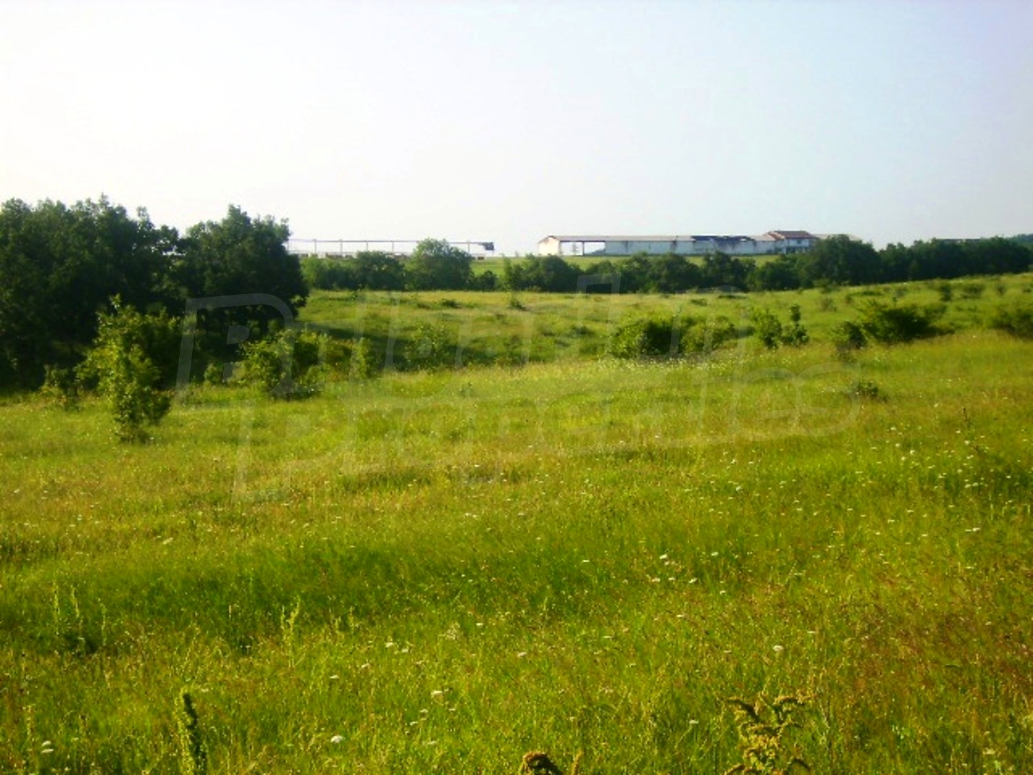 Gallery Picture 19