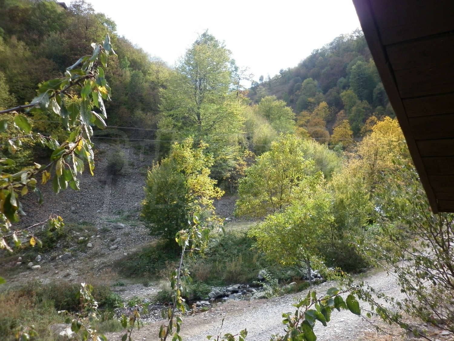 Gallery Picture 11
