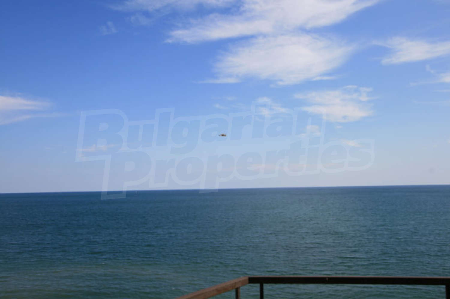 Gallery Picture 7