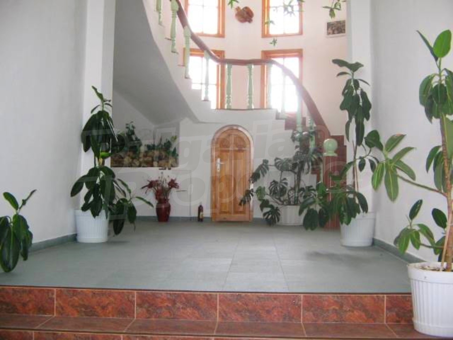 Gallery Picture 6
