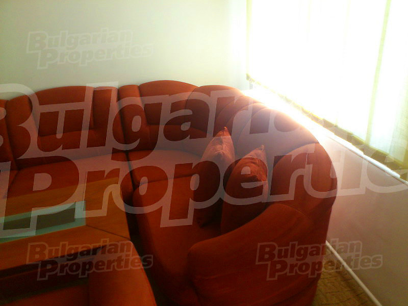 Gallery Picture 18