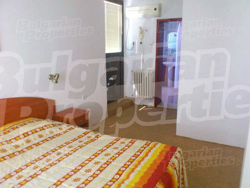 Gallery Picture 19