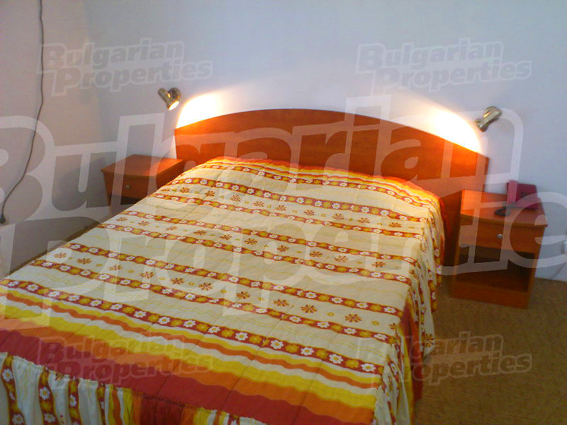 Gallery Picture 28
