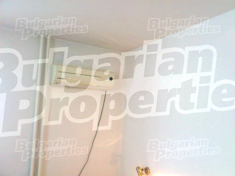 Gallery Picture 29