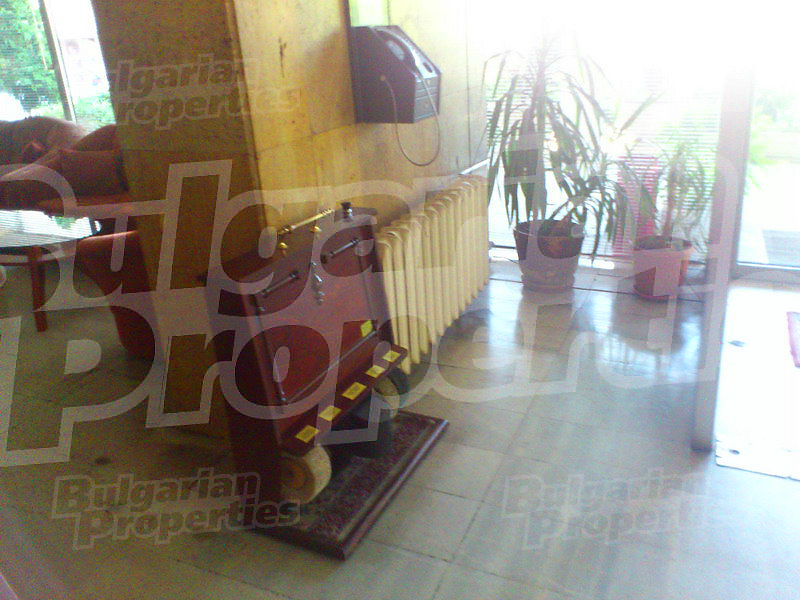 Gallery Picture 31