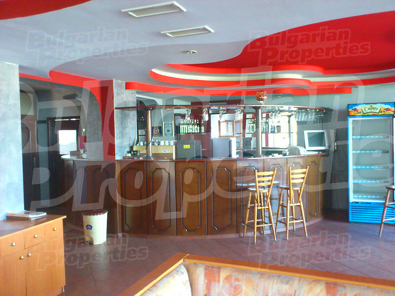 Gallery Picture 37