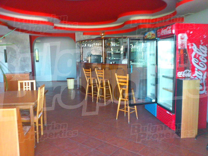 Gallery Picture 38