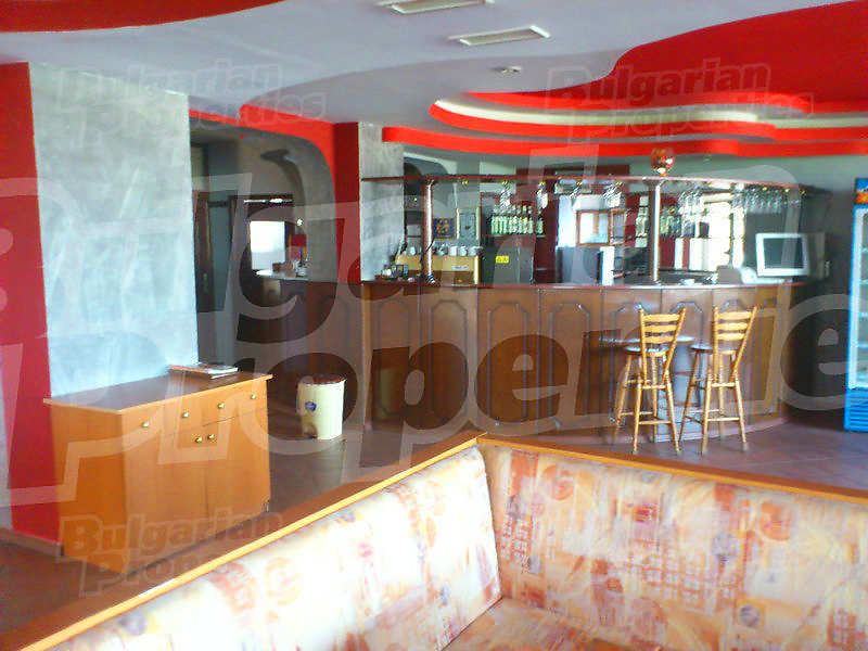 Gallery Picture 39