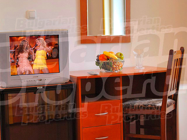 Gallery Picture 46