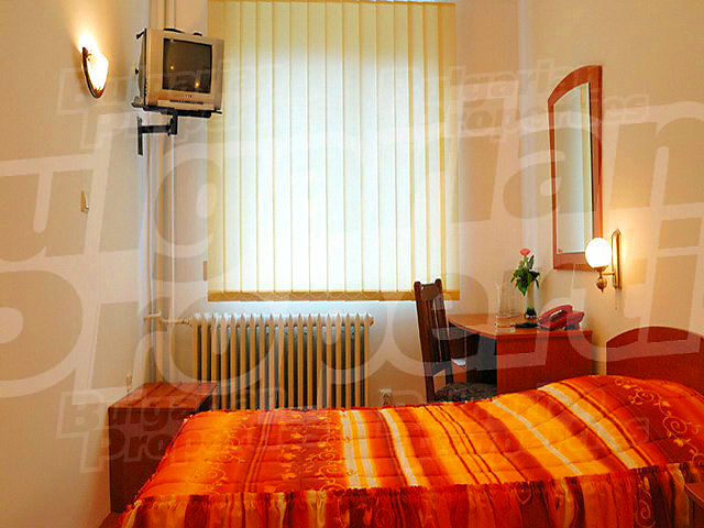 Gallery Picture 48
