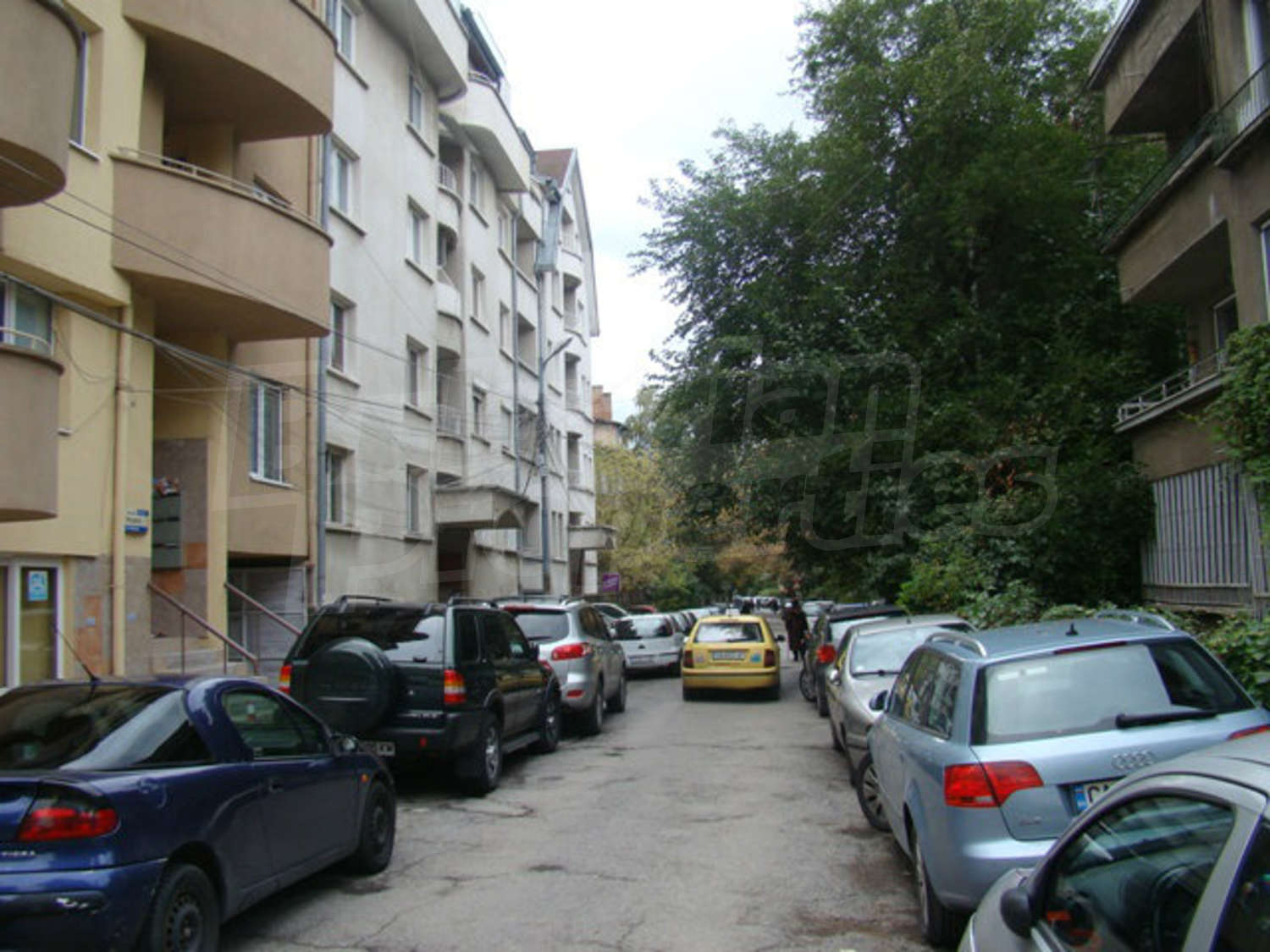 Gallery Picture 20