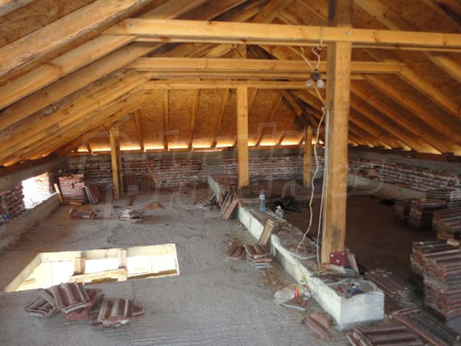 Gallery Picture 10