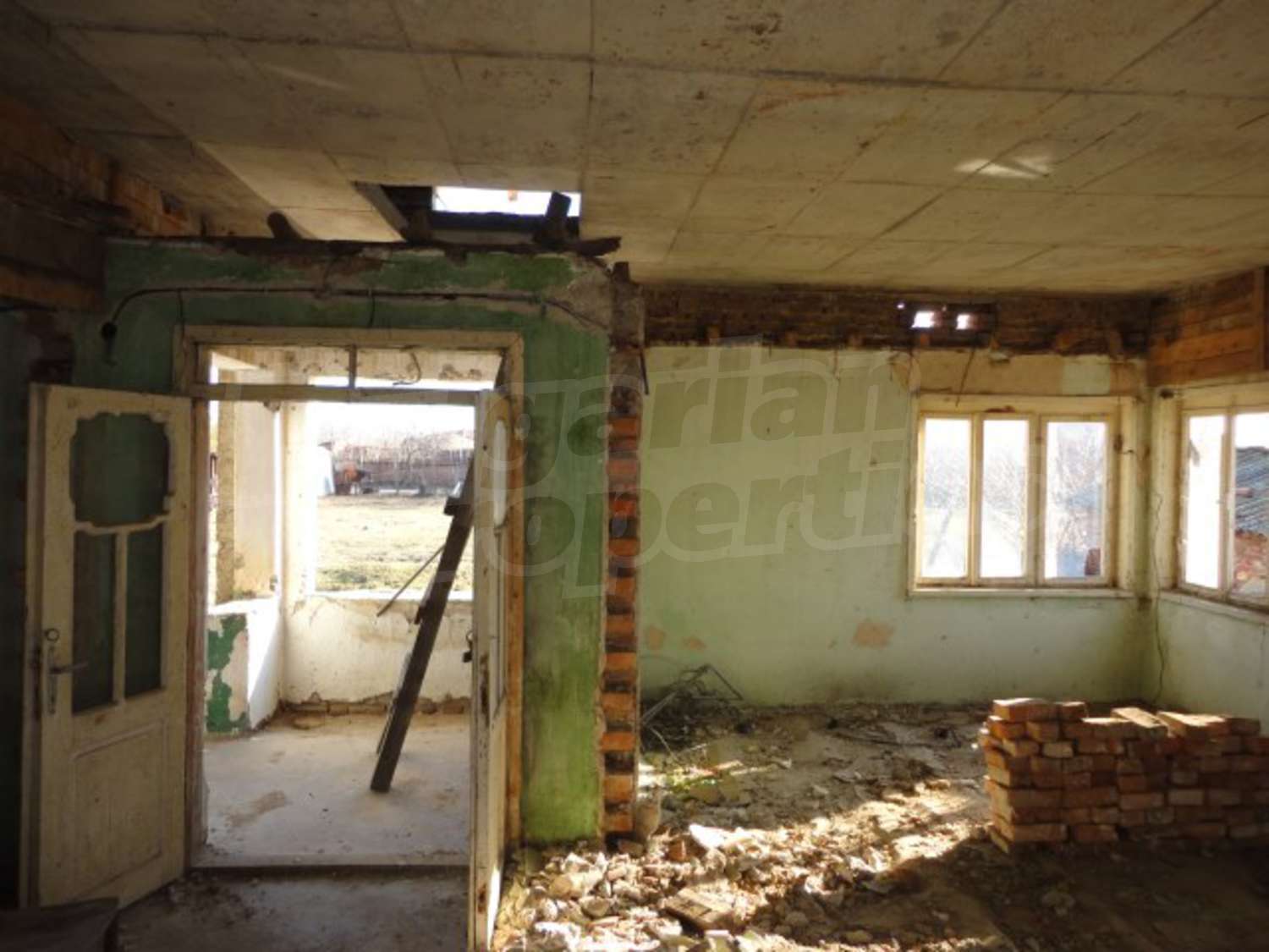 Gallery Picture 6
