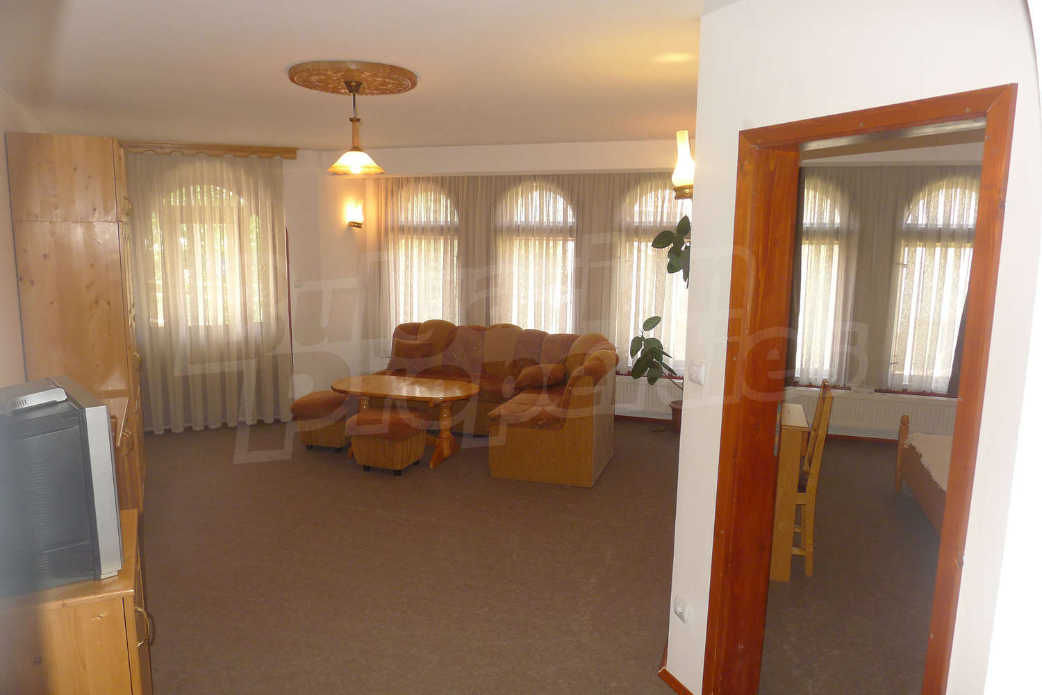 Gallery Picture 26