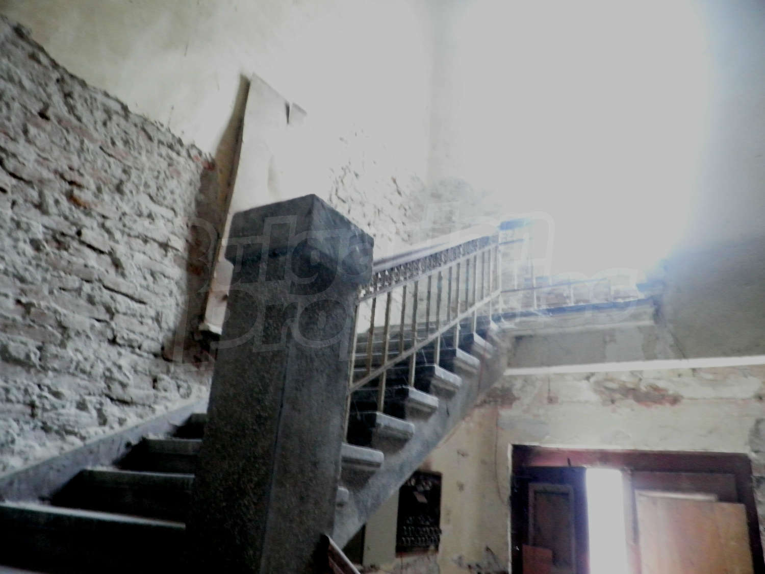 Gallery Picture 10