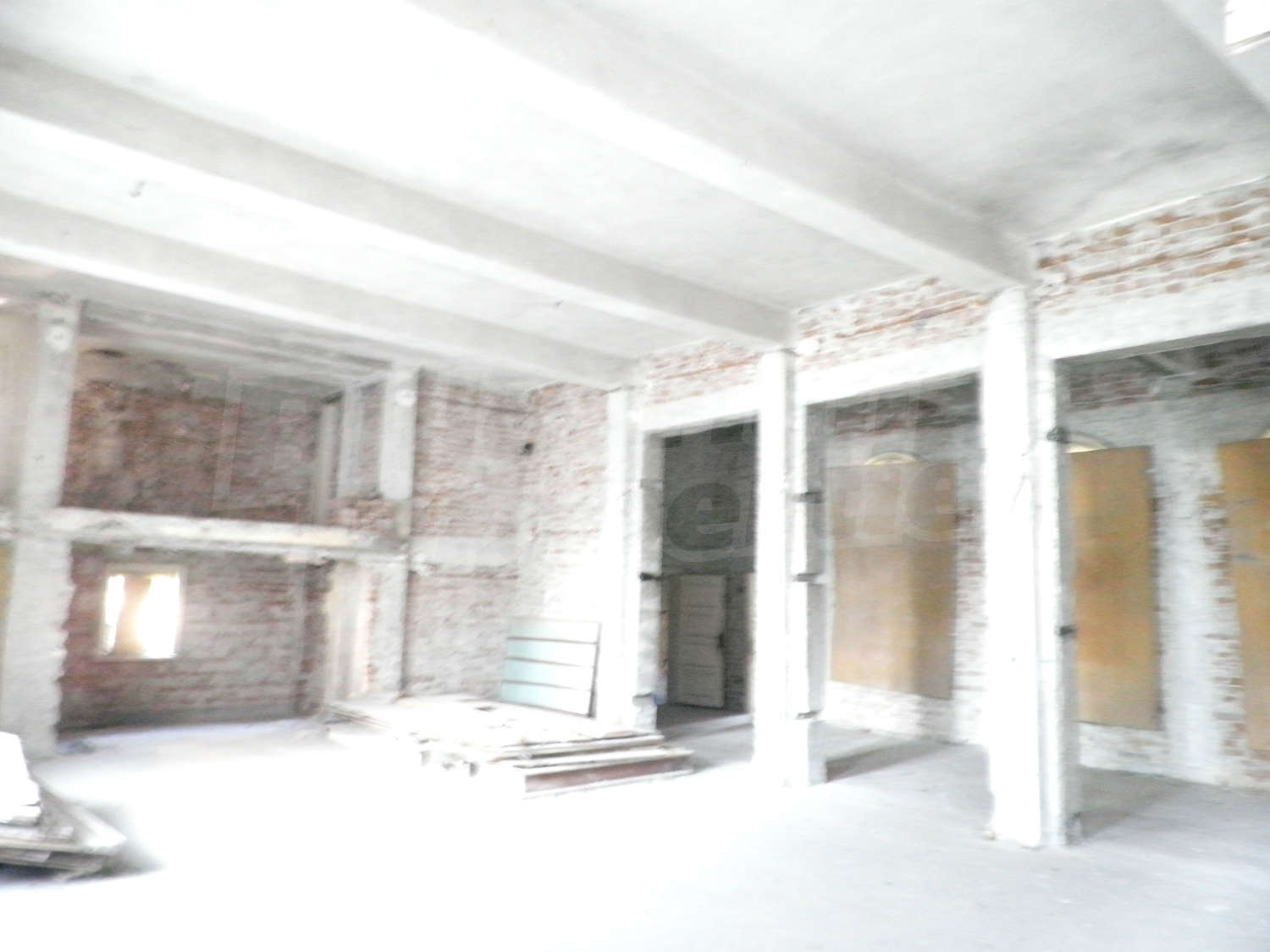 Gallery Picture 11