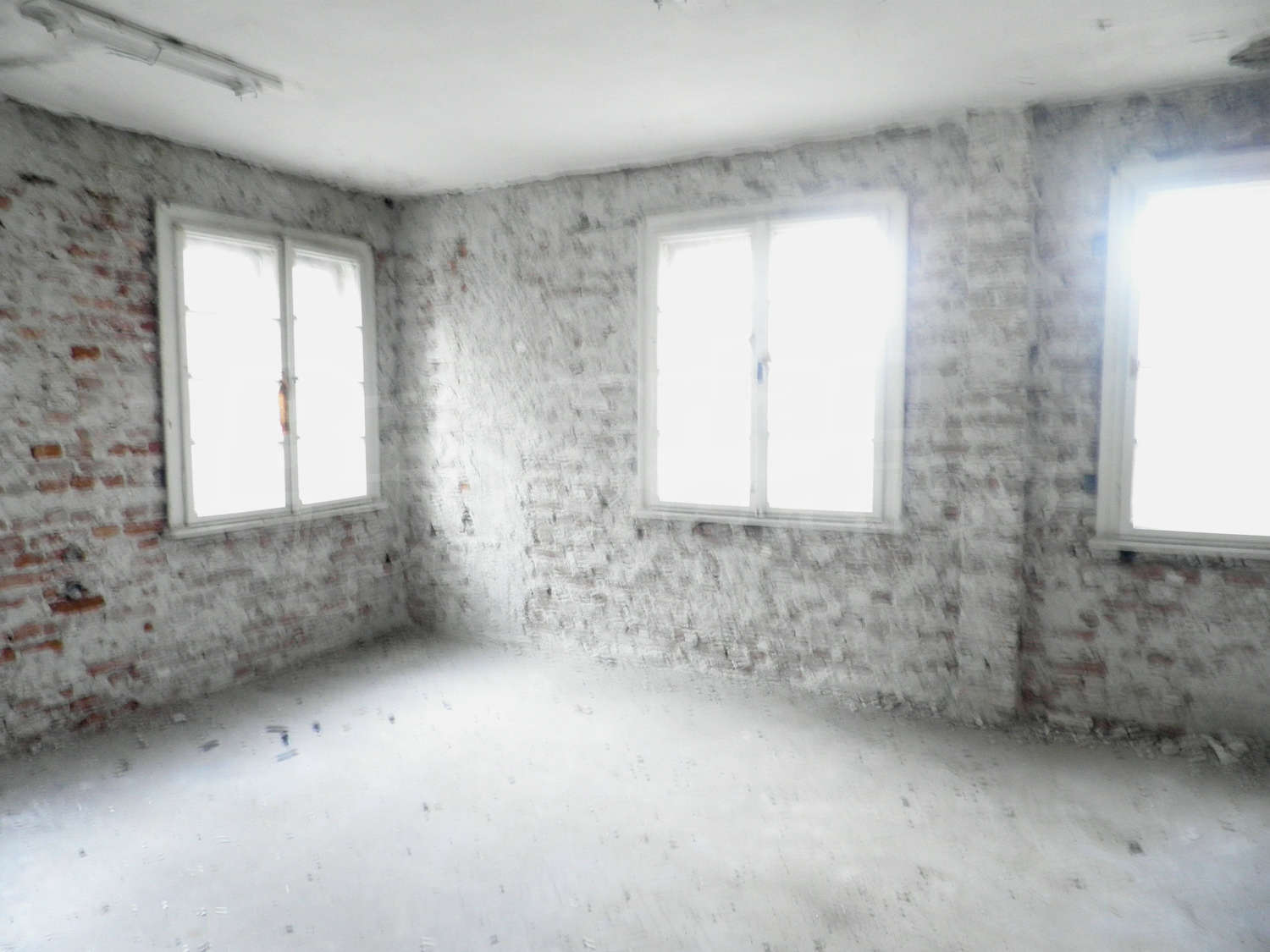 Gallery Picture 6