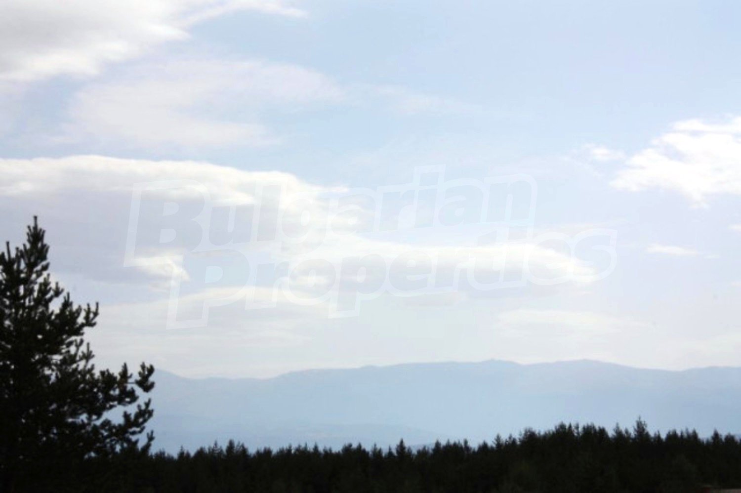 Gallery Picture 15