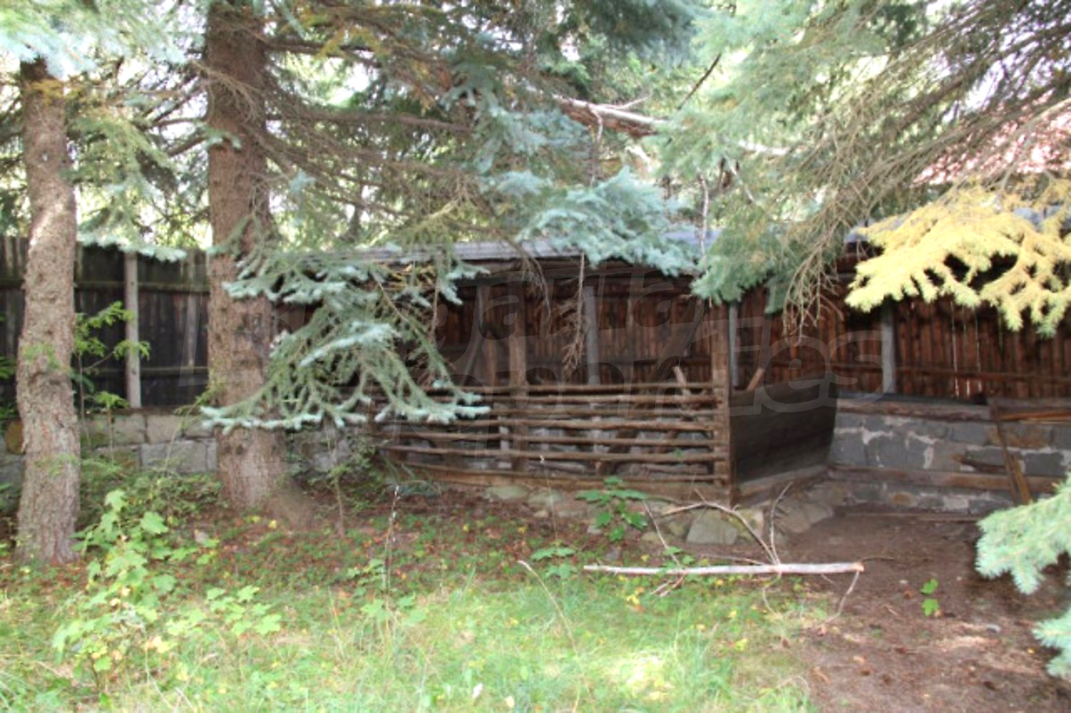 Gallery Picture 2
